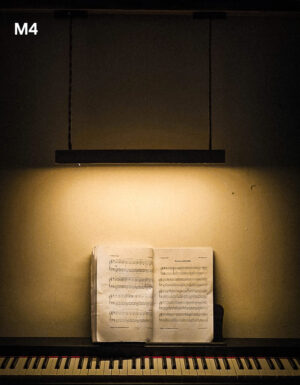 Handcrafted Decorative Pendant Light Made from Natural Wood